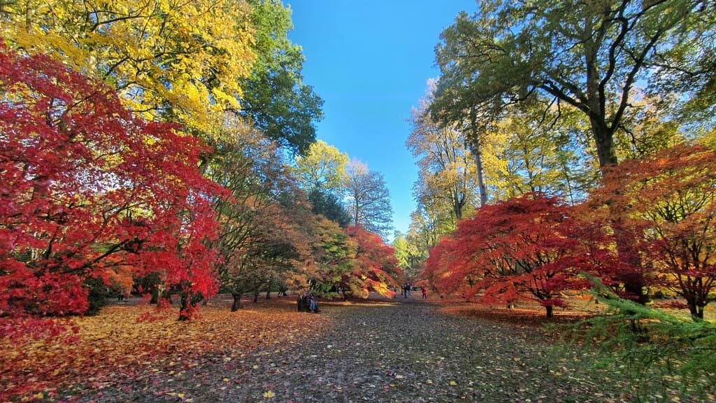 Westonbirt, The National Arboretum, garden in Tetbury